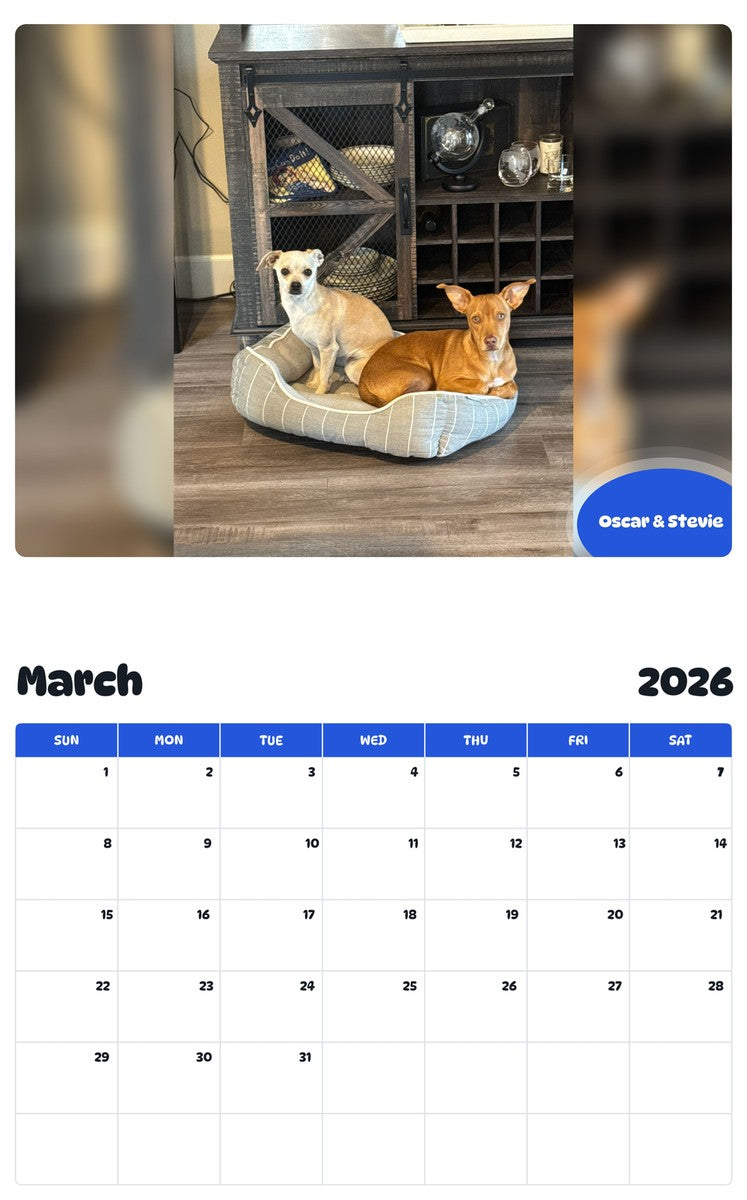 November 2025 - October 2026 Oscar & Stevie - Pawidols Pet Calendar