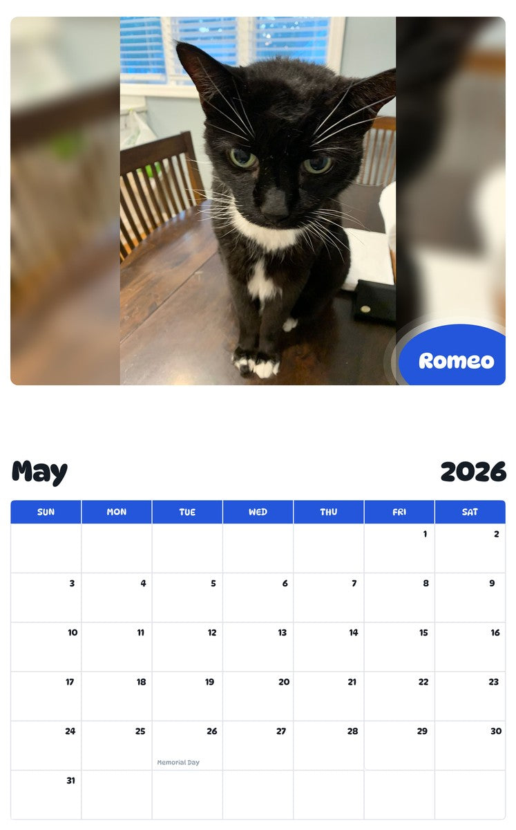 2026 - 2027 Romeo - Pawidols Pet Calendar