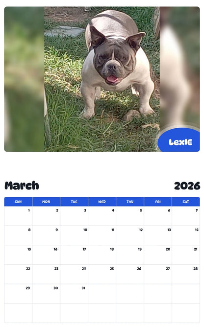 November 2025 - October 2026 LexIE - Pawidols Pet Calendar