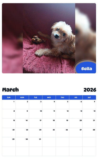 November 2025 - October 2026 Bella - Pawidols Pet Calendar