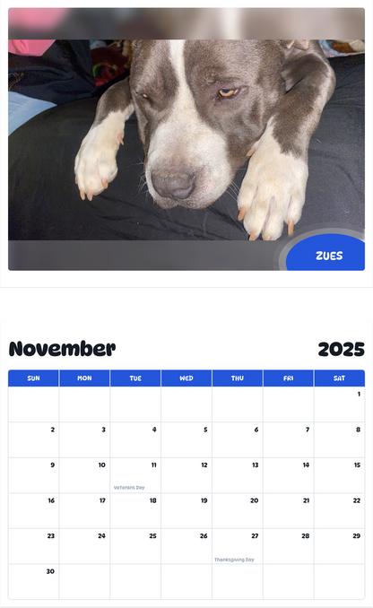 July 2025 - June 2026 Zues - Pawidols Pet Calendar