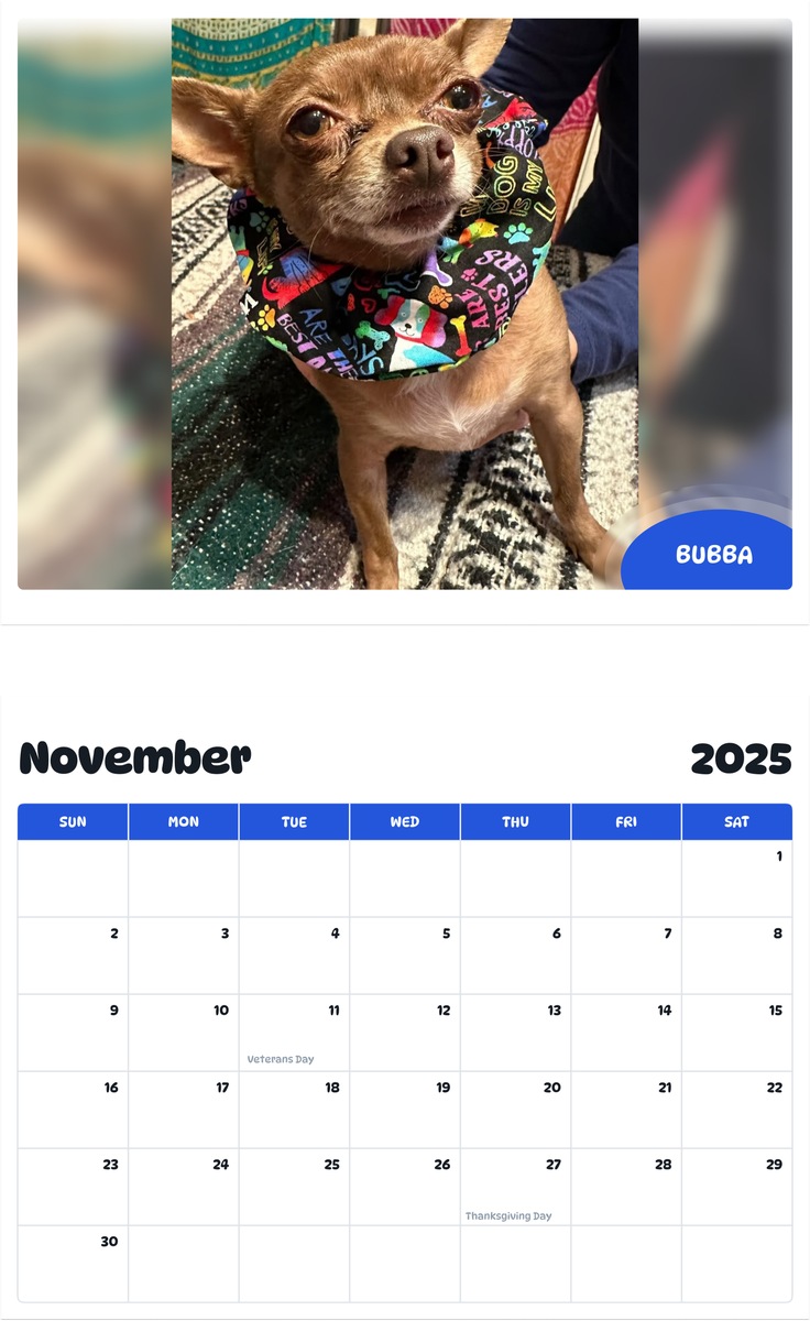 July 2025 - June 2026 Bubba - Pawidols Pet Calendar