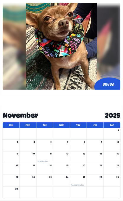July 2025 - June 2026 Bubba - Pawidols Pet Calendar