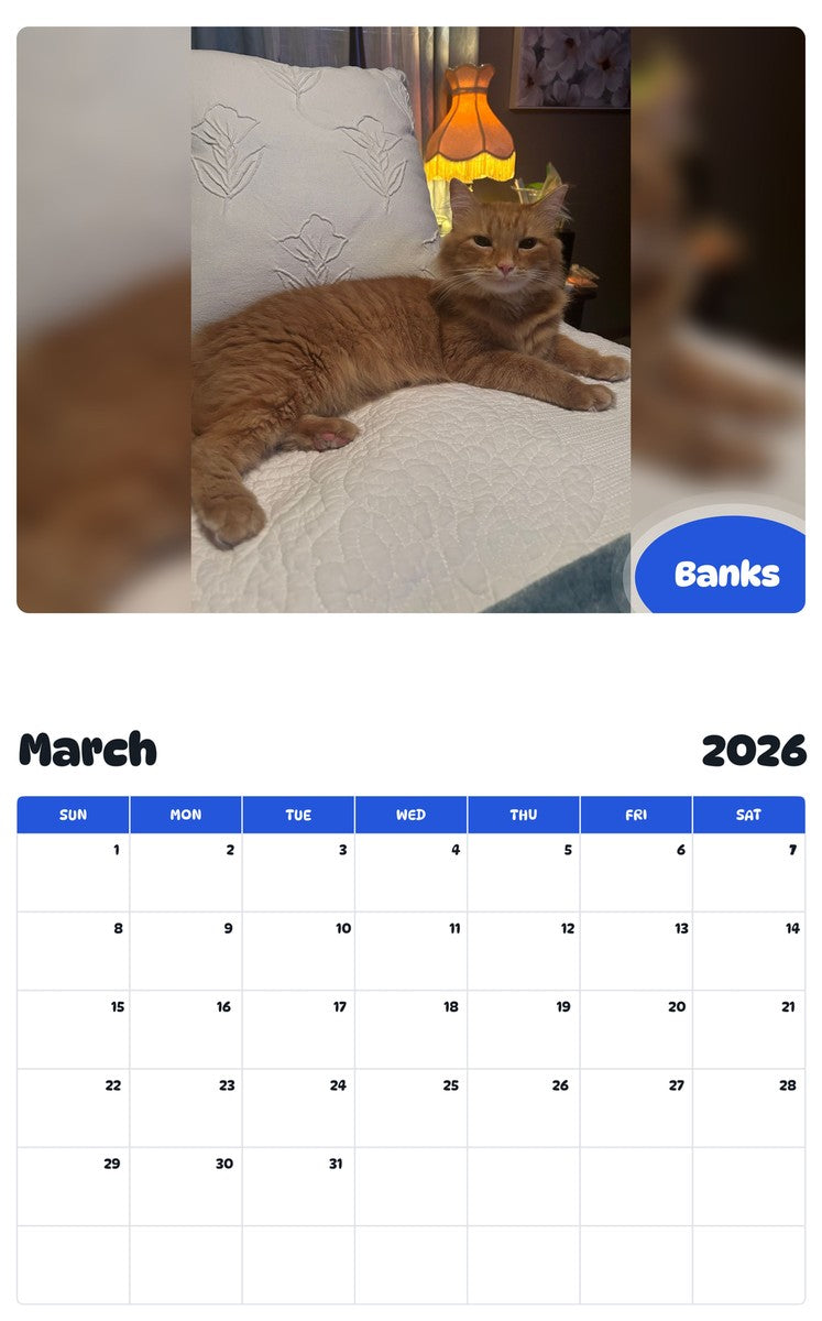 November 2025 - October 2026 Banks - Pawidols Pet Calendar