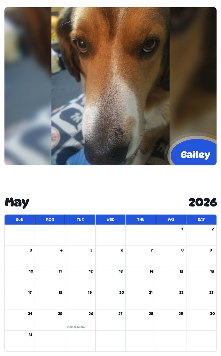 2026 - 2027 Bailey - Pawidols Pet Calendar