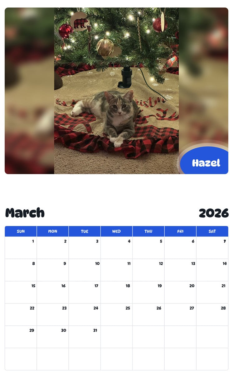 November 2025 - October 2026 Hazel - Pawidols Pet Calendar