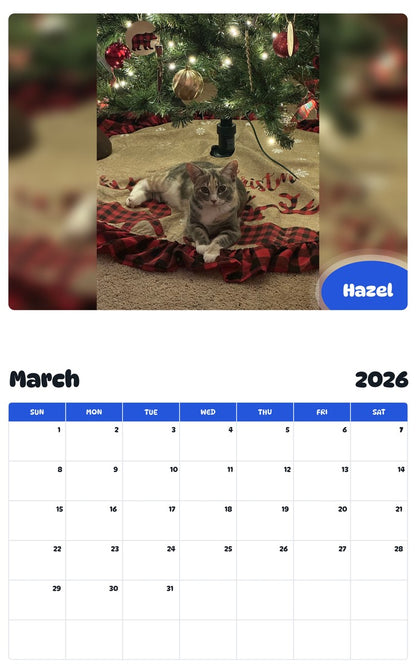 November 2025 - October 2026 Hazel - Pawidols Pet Calendar