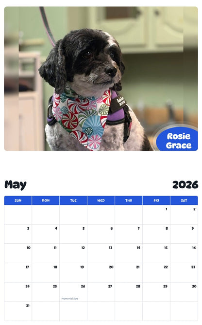 2026 - 2027 Rosie Grace - Pawidols Pet Calendar