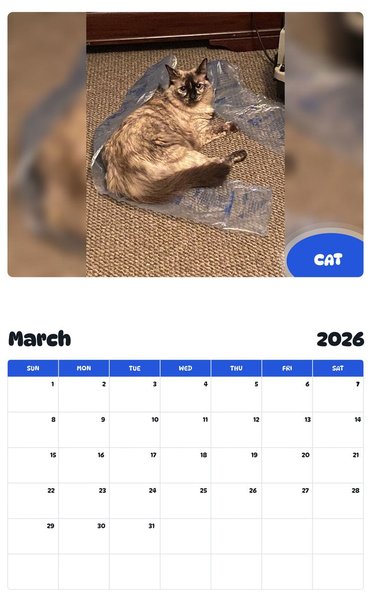November 2025 - October 2026 CAT - Pawidols Pet Calendar