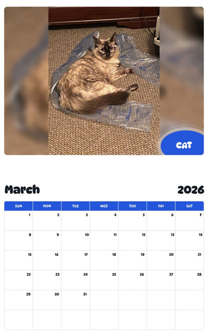 November 2025 - October 2026 CAT - Pawidols Pet Calendar