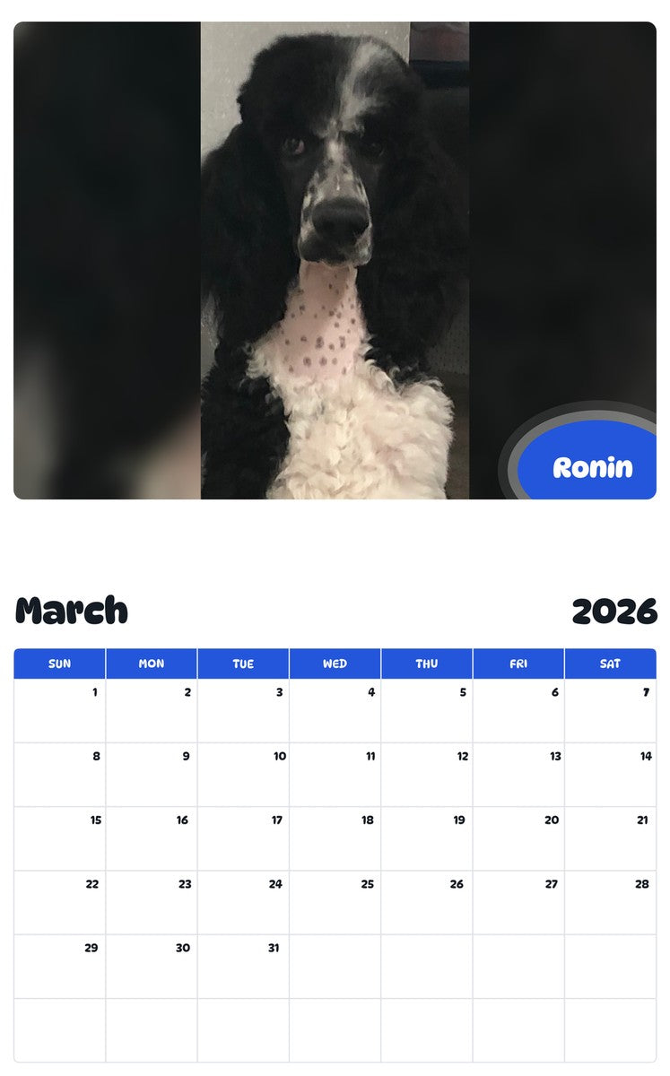 November 2025 - October 2026 Ronin - Pawidols Pet Calendar