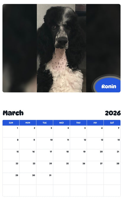 November 2025 - October 2026 Ronin - Pawidols Pet Calendar