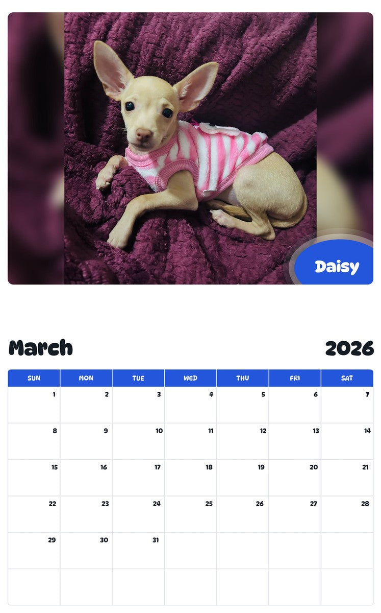 November 2025 - October 2026 Daisy - Pawidols Pet Calendar
