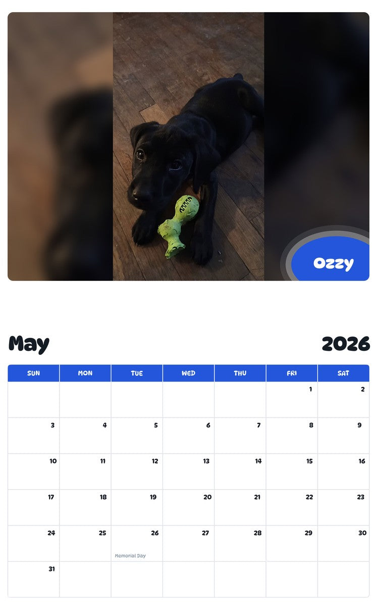 2026 - 2027 Ozzy - Pawidols Pet Calendar