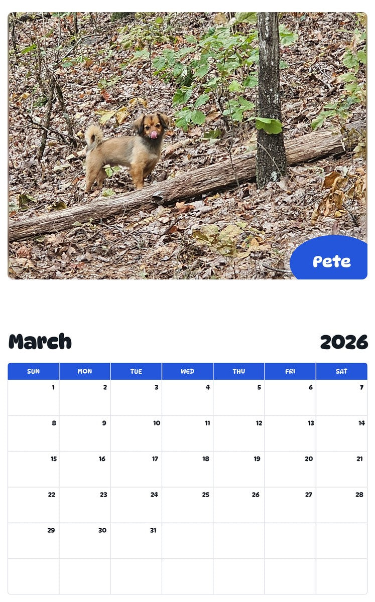 November 2025 - October 2026 Pete - Pawidols Pet Calendar