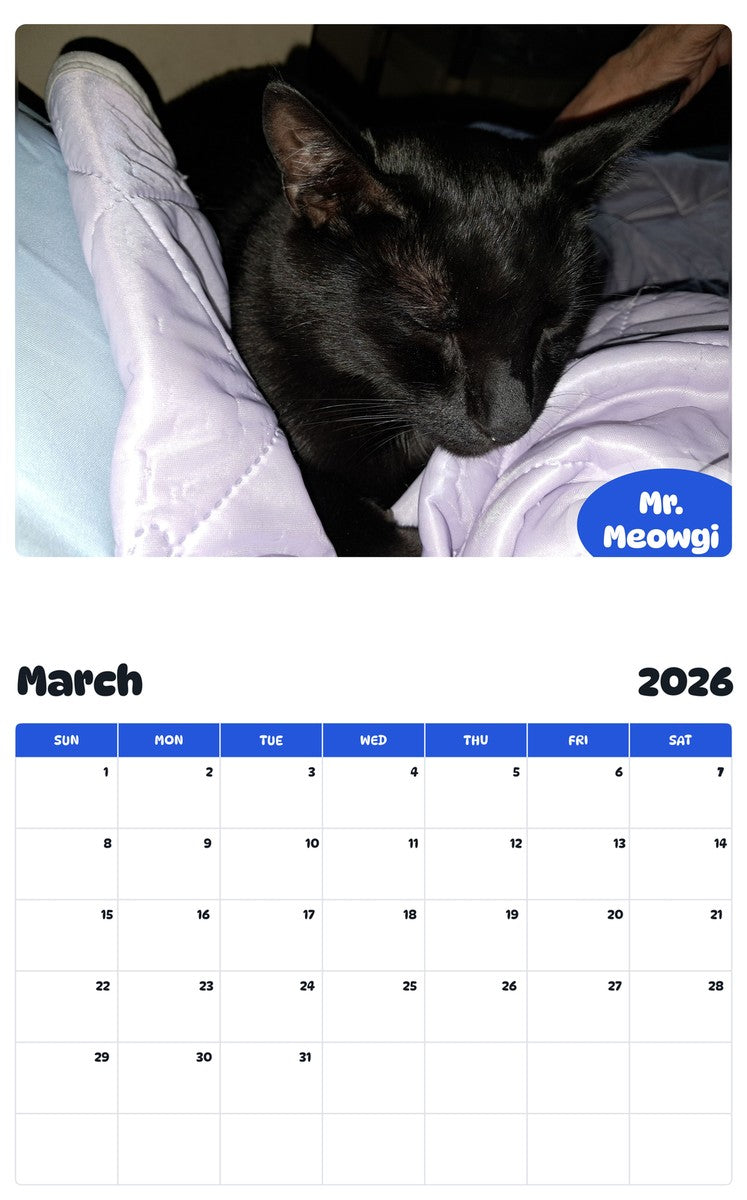 November 2025 - October 2026 Mr. Meowgi - Pawidols Pet Calendar