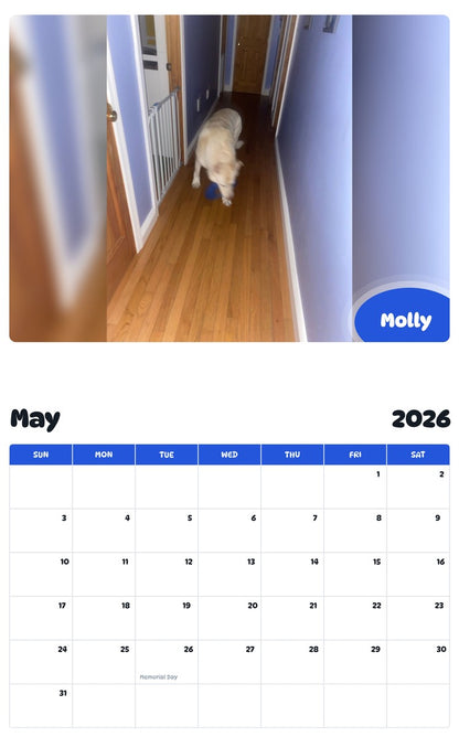 2026 - 2027 Molly - Pawidols Pet Calendar