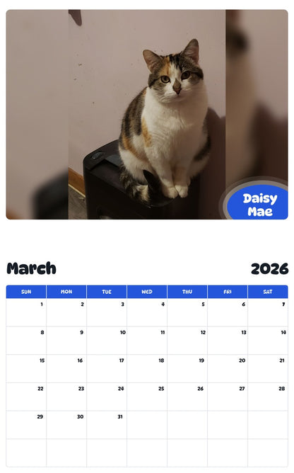 November 2025 - October 2026 Daisy Mae - Pawidols Pet Calendar
