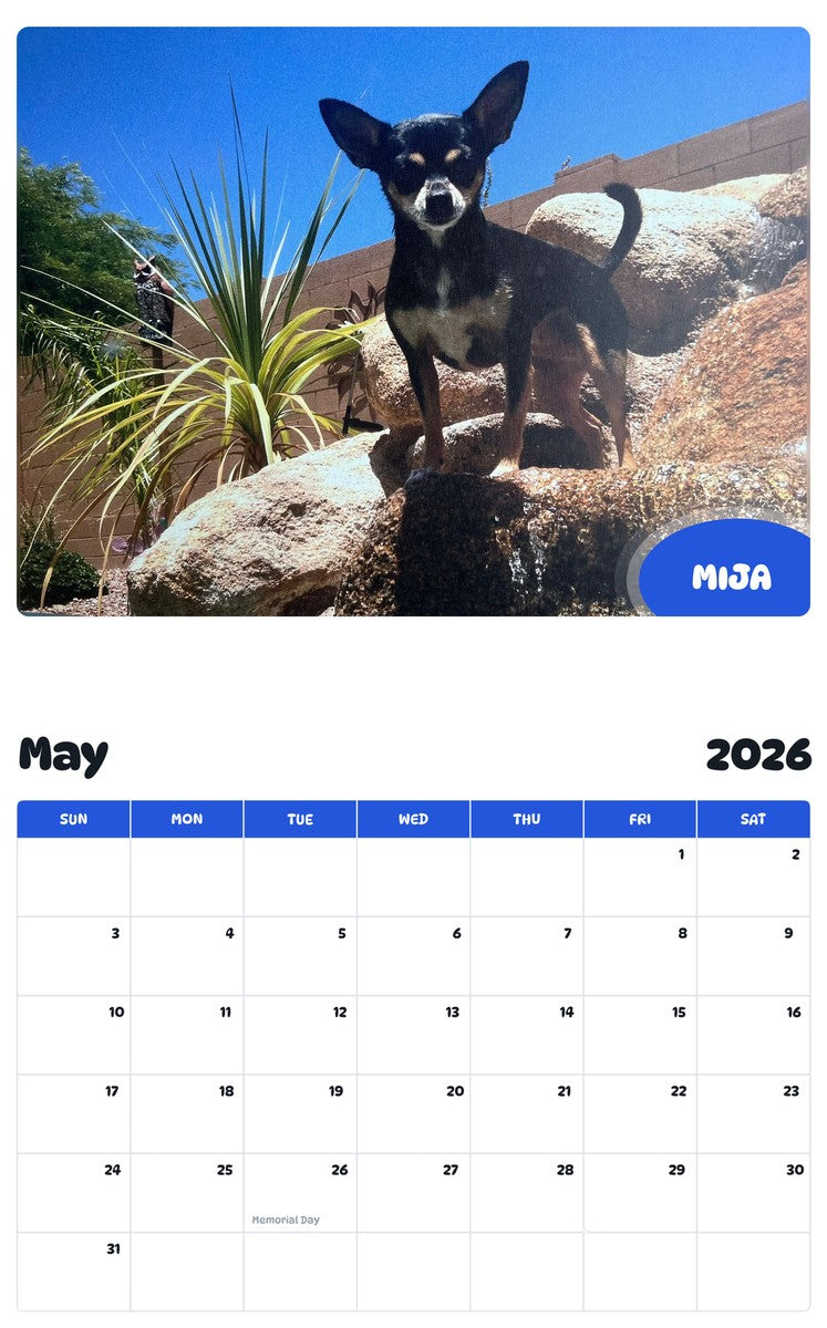 2026 - 2027 MIJA - Pawidols Pet Calendar
