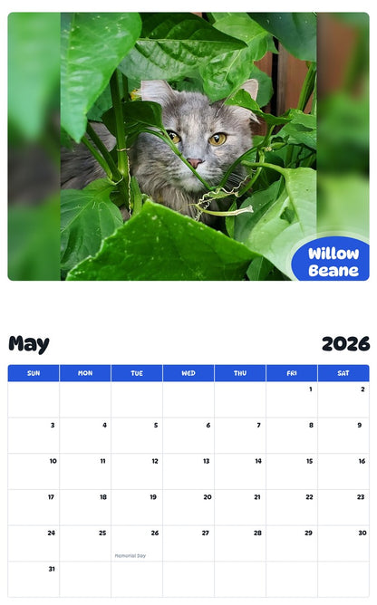 2026 - 2027 Willow Beane - Pawidols Pet Calendar