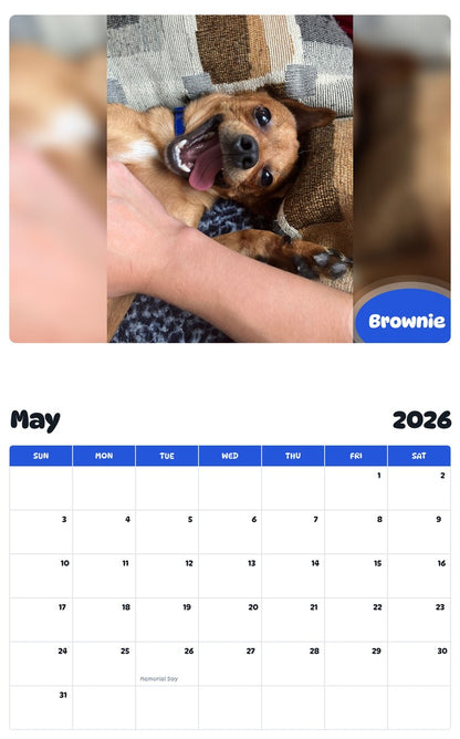 2026 - 2027 Brownie - Pawidols Pet Calendar