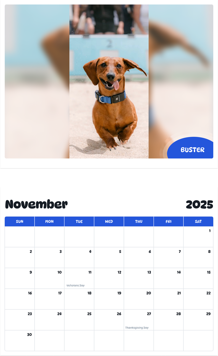 July 2025 - June 2026 Buster - Pawidols Pet Calendar