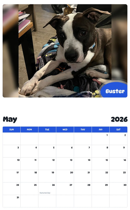 2026 - 2027 Buster - Pawidols Pet Calendar