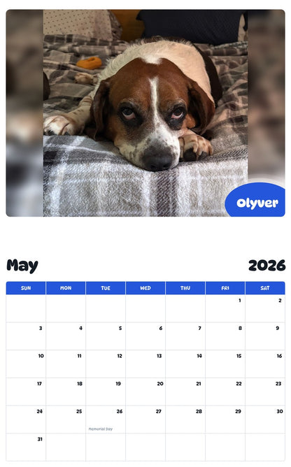 2026 - 2027 Olyver - Pawidols Pet Calendar