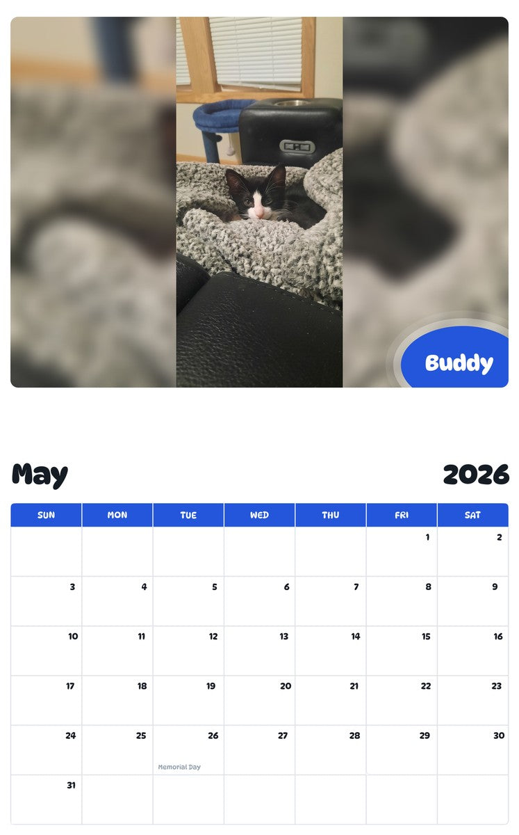 2026 - 2027 Buddy - Pawidols Pet Calendar