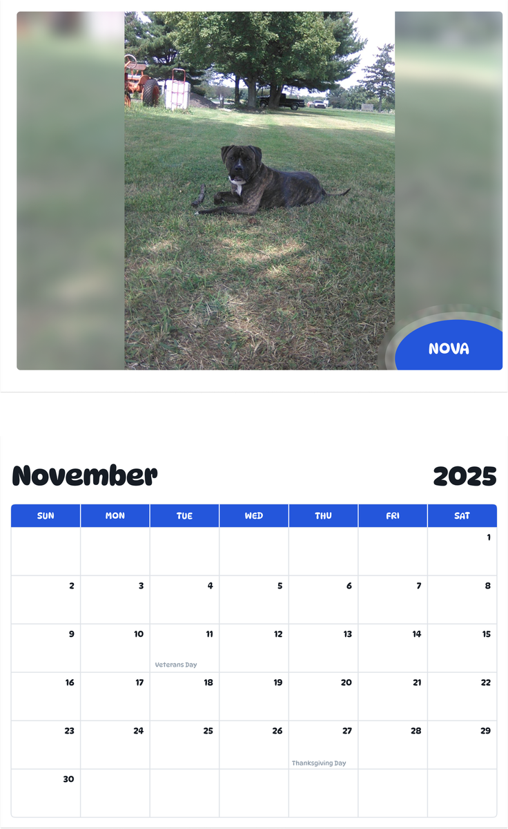 July 2025 - June 2026 Nova - Pawidols Pet Calendar