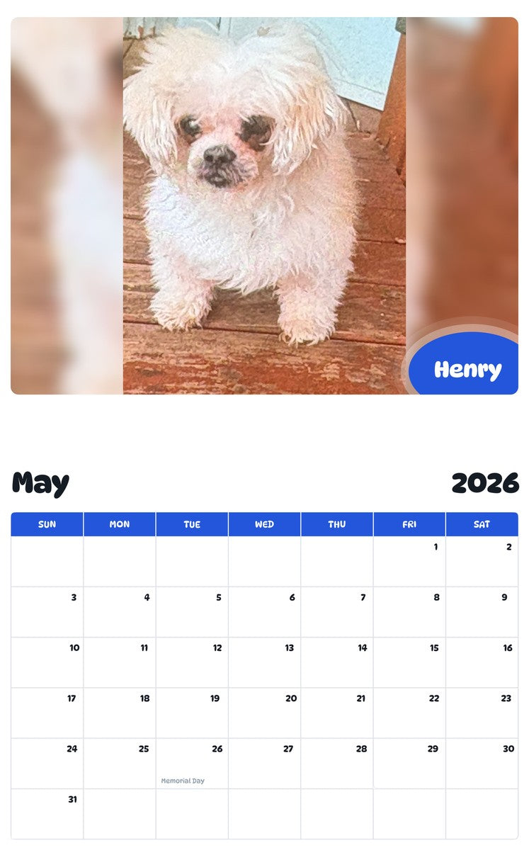 2026 - 2027 Henry - Pawidols Pet Calendar