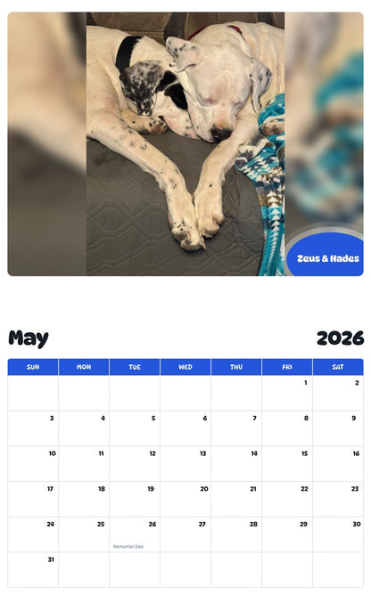 2026 - 2027 Zeus & Hades - Pawidols Pet Calendar