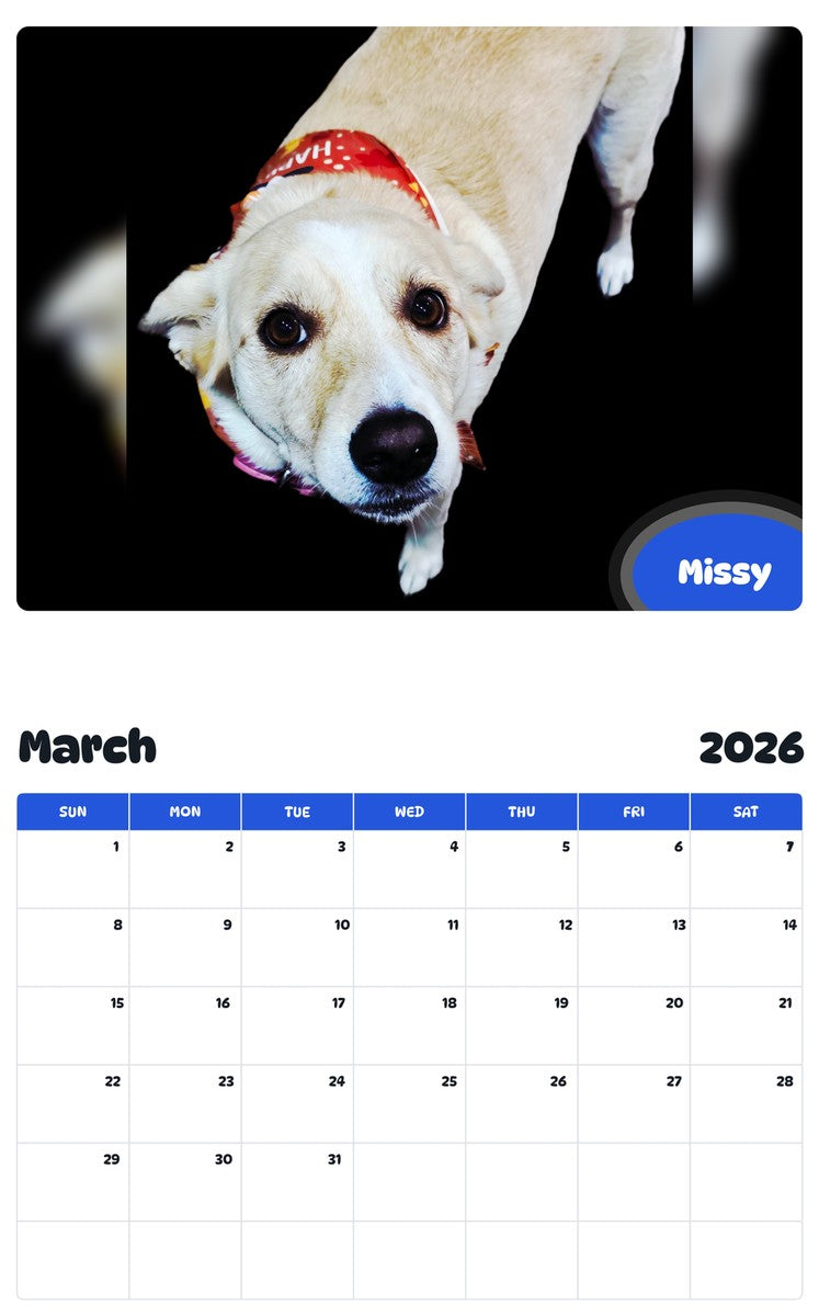 November 2025 - October 2026 Missy - Pawidols Pet Calendar