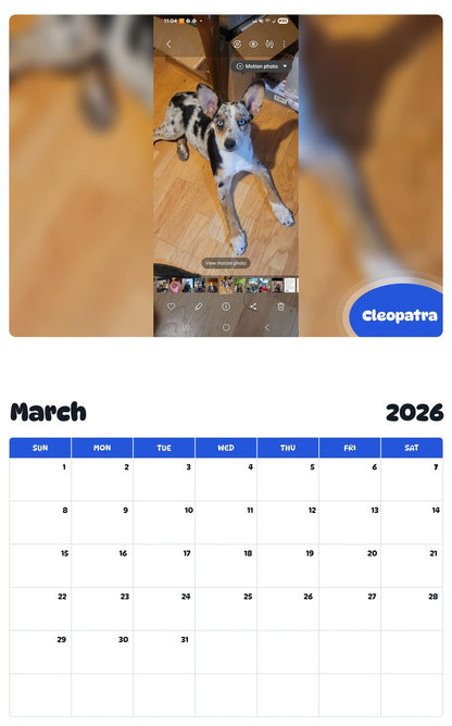 November 2025 - October 2026 Cleopatra - Pawidols Pet Calendar