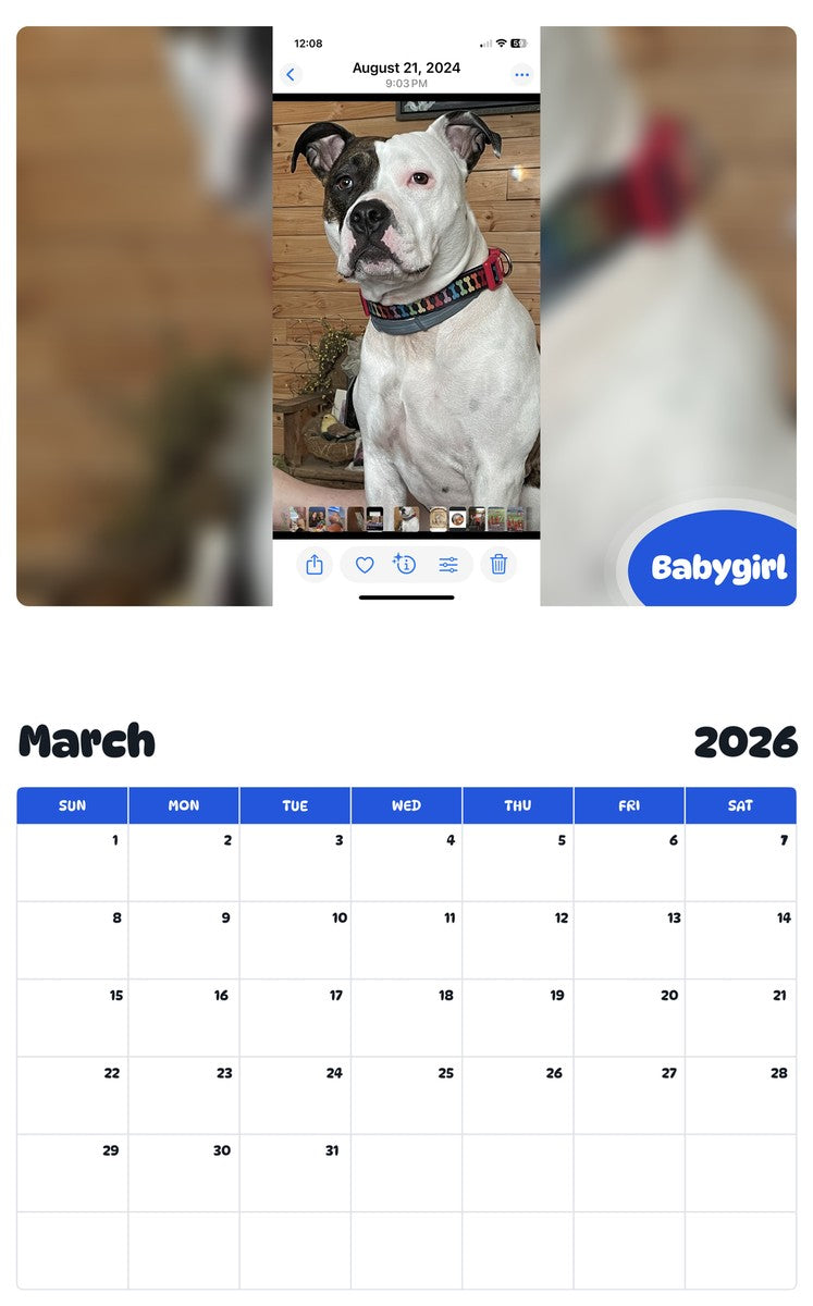 November 2025 - October 2026 Babygirl - Pawidols Pet Calendar
