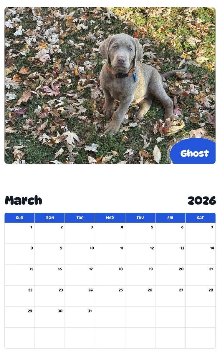November 2025 - October 2026 Ghost - Pawidols Pet Calendar