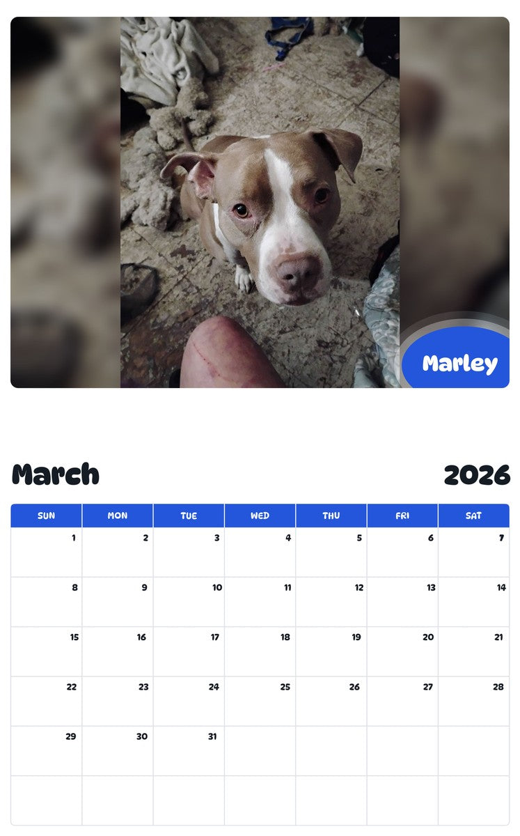 November 2025 - October 2026 Marley - Pawidols Pet Calendar