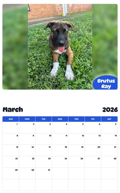 November 2025 - October 2026 Brutus Ray - Pawidols Pet Calendar