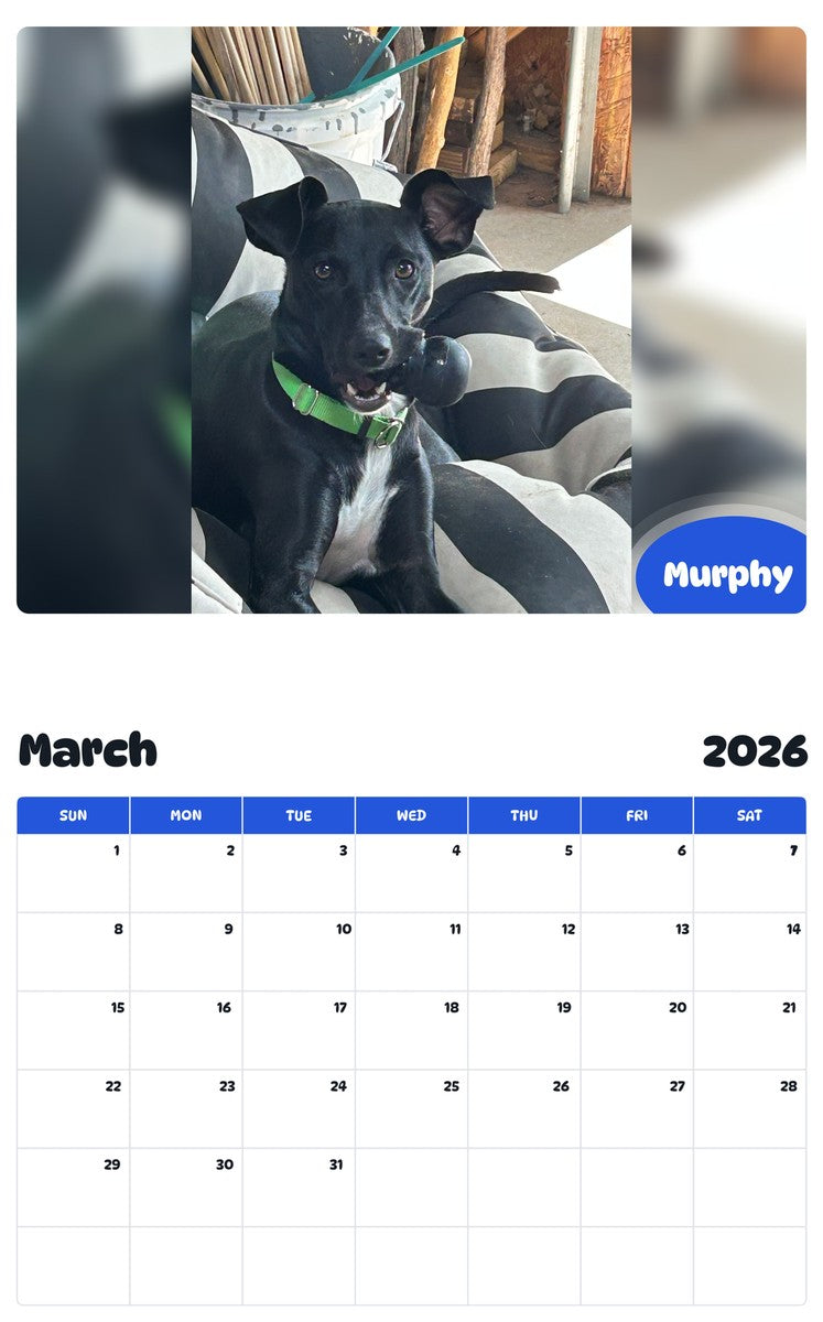 November 2025 - October 2026 Murphy - Pawidols Pet Calendar