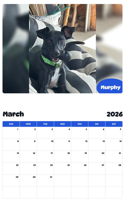 November 2025 - October 2026 Murphy - Pawidols Pet Calendar