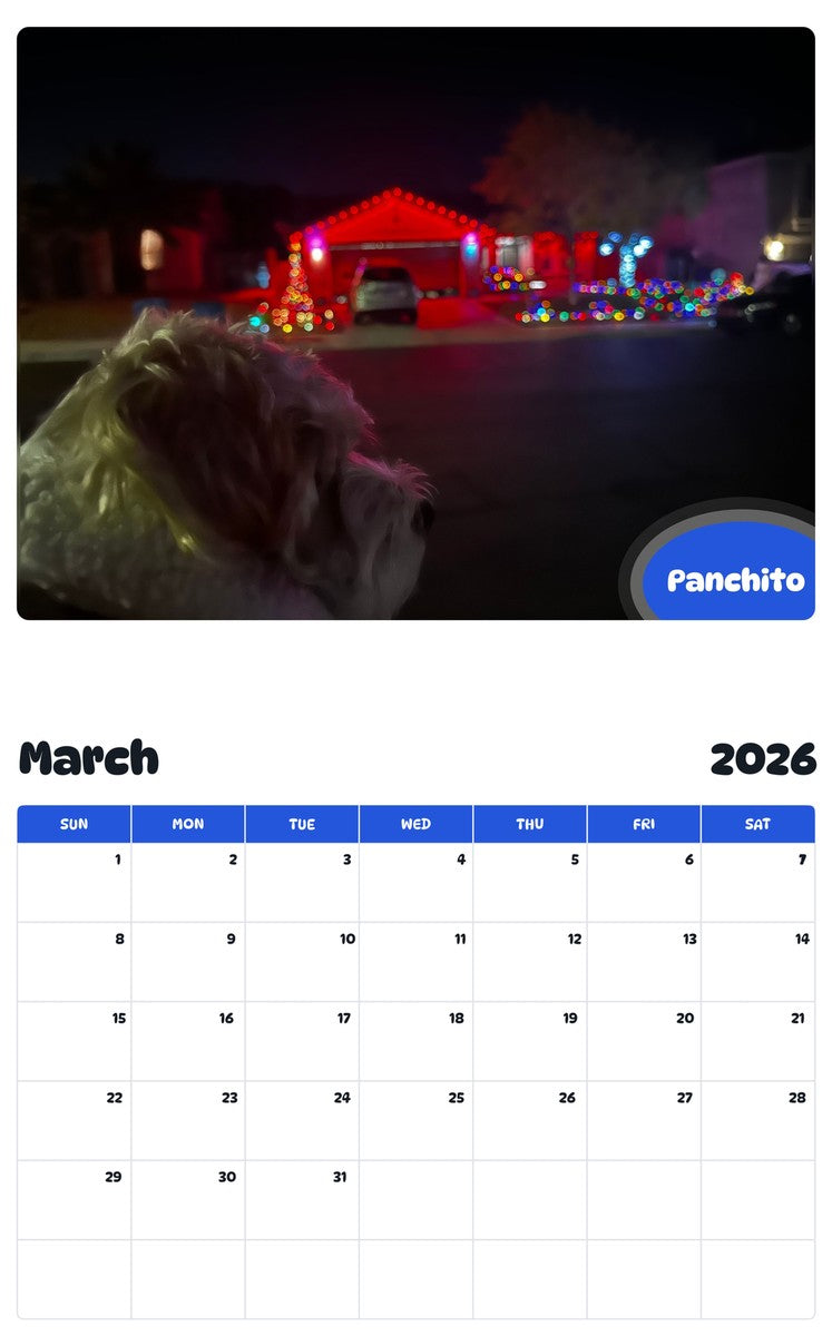 November 2025 - October 2026 Panchito - Pawidols Pet Calendar