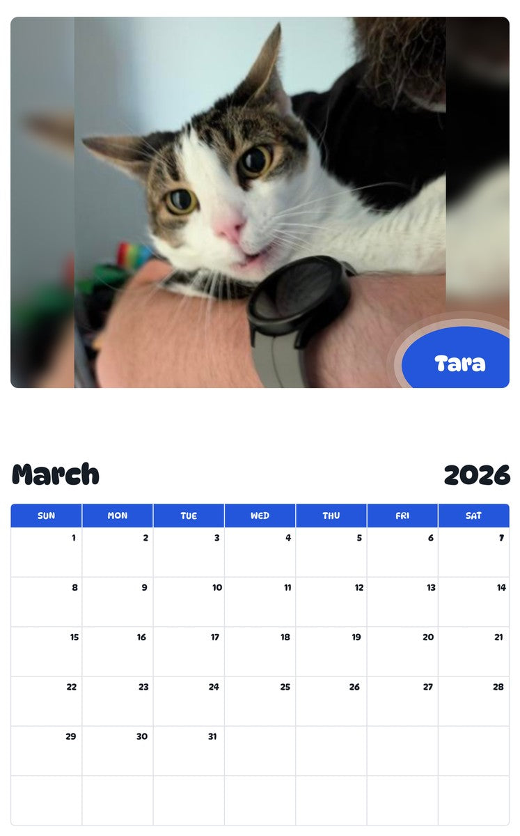 November 2025 - October 2026 Tara - Pawidols Pet Calendar