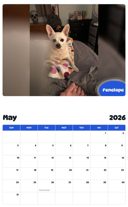2026 - 2027 Penelope - Pawidols Pet Calendar
