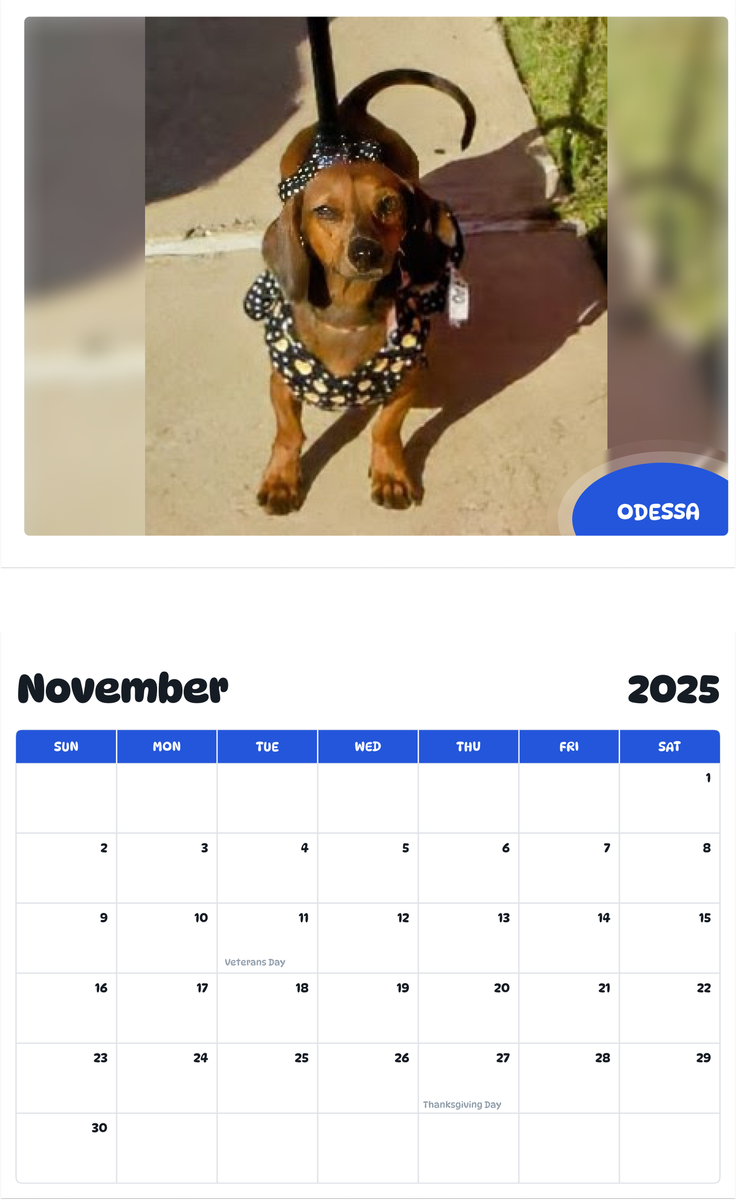 July 2025 - June 2026 Odessa - Pawidols Pet Calendar
