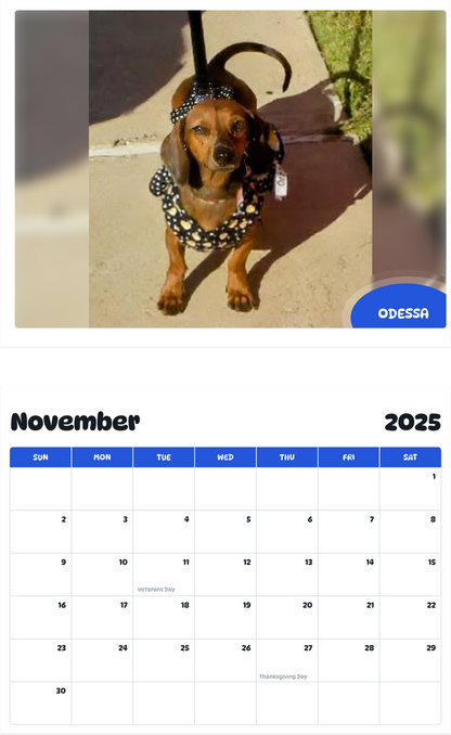 July 2025 - June 2026 Odessa - Pawidols Pet Calendar