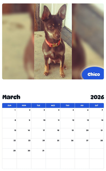November 2025 - October 2026 Chico - Pawidols Pet Calendar