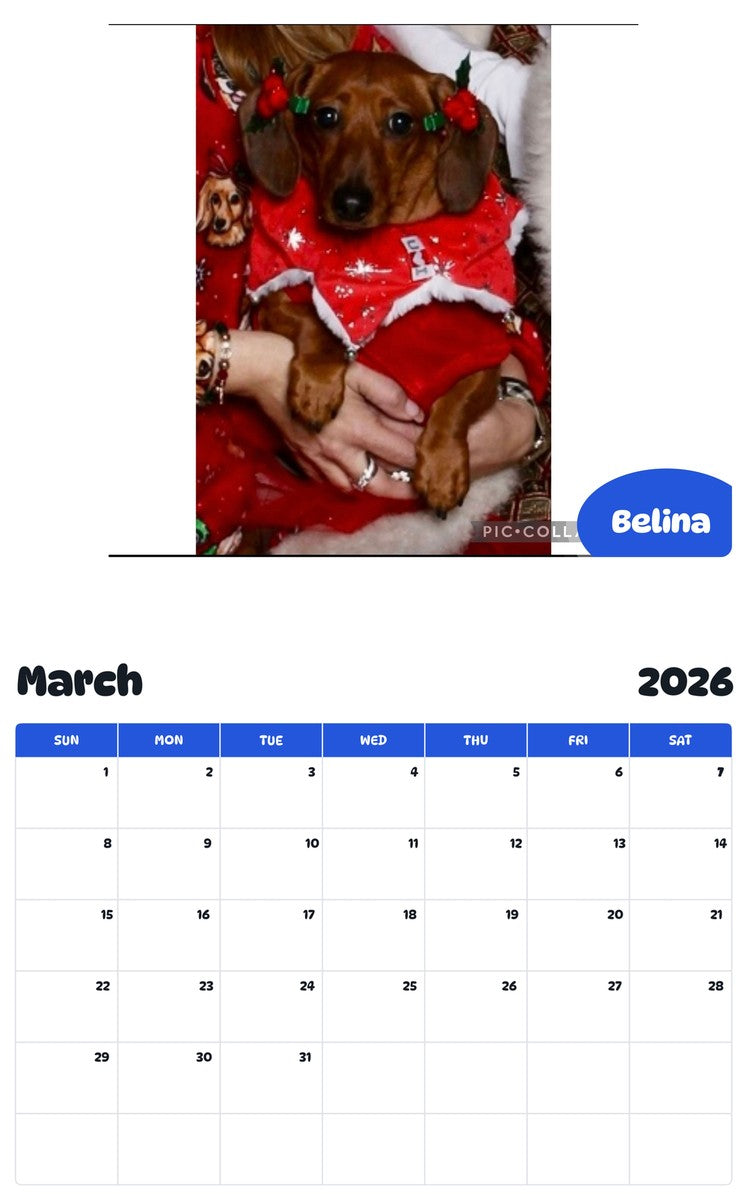 November 2025 - October 2026 Belina - Pawidols Pet Calendar