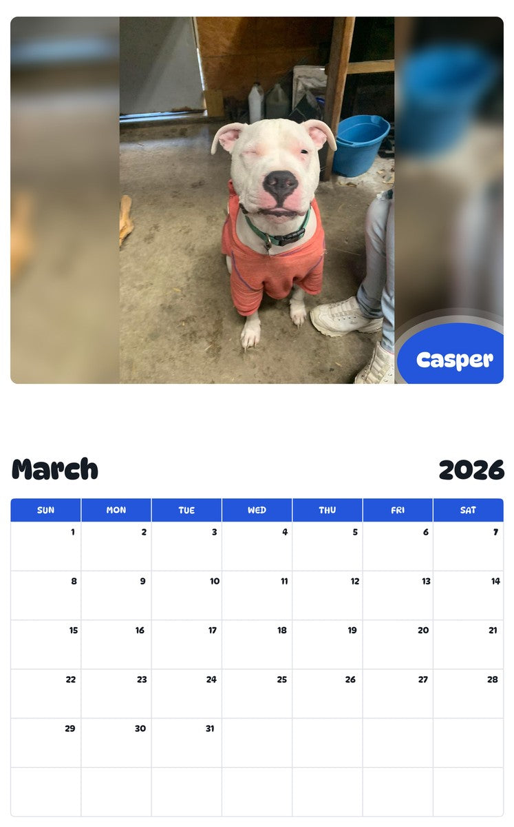 November 2025 - October 2026 Casper - Pawidols Pet Calendar