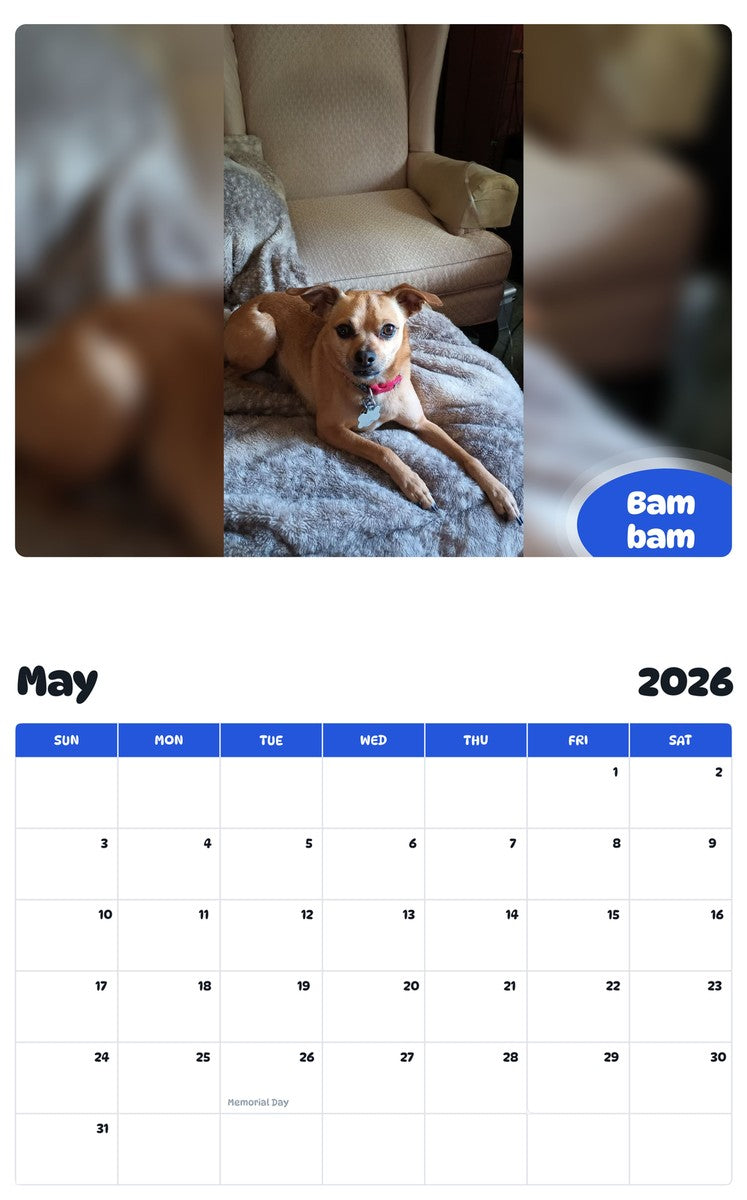 2026 - 2027 Bam bam - Pawidols Pet Calendar