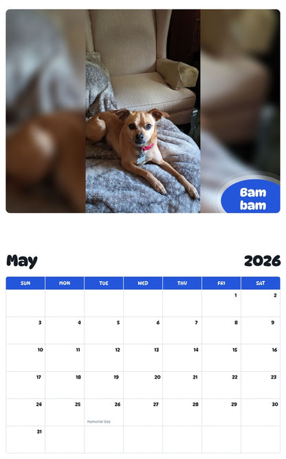 2026 - 2027 Bam bam - Pawidols Pet Calendar